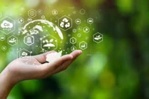 sustainability governance